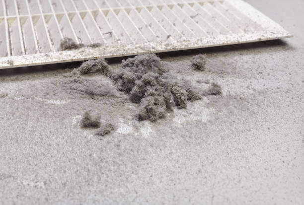 Best Residential Air Duct Cleaning  in Luther, OK