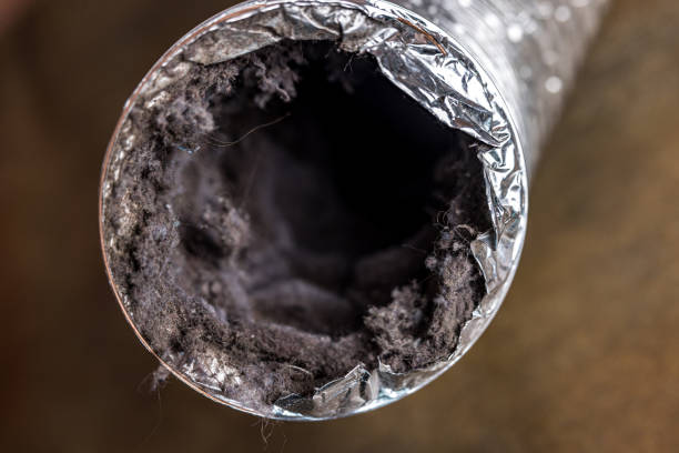 Best Professional Duct Cleaning Services  in Luther, OK